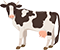 Calf